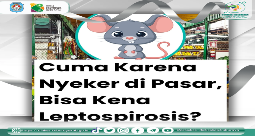 Mengenal Leptospirosis