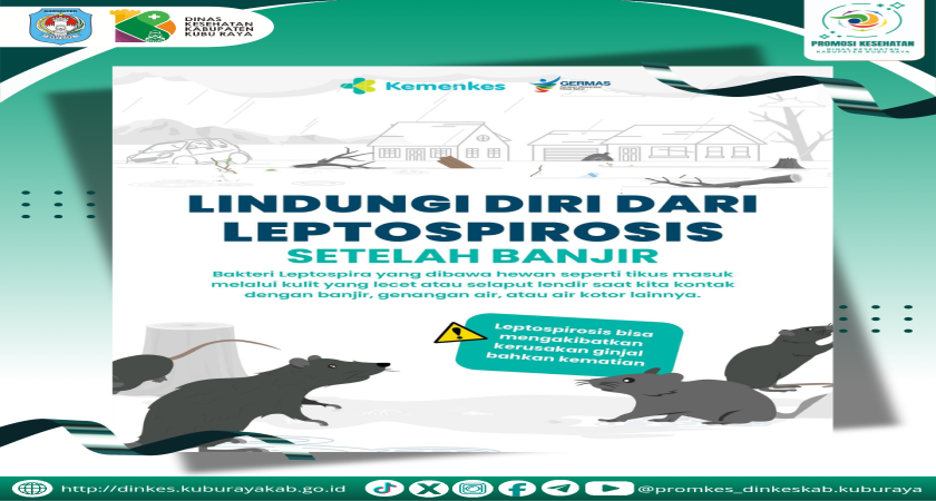 Lindungi Diri Dari Leptospirosis