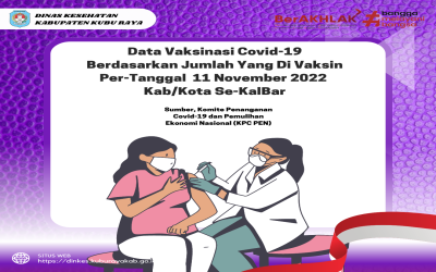 Data Capaian Vaksinasi Per-Tanggal 11 November 2022 Kab/Kota Se-KalBar
