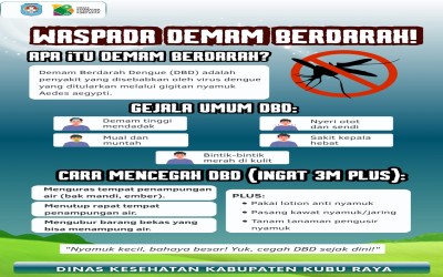 Waspada Demam Berdarah (8/9)
