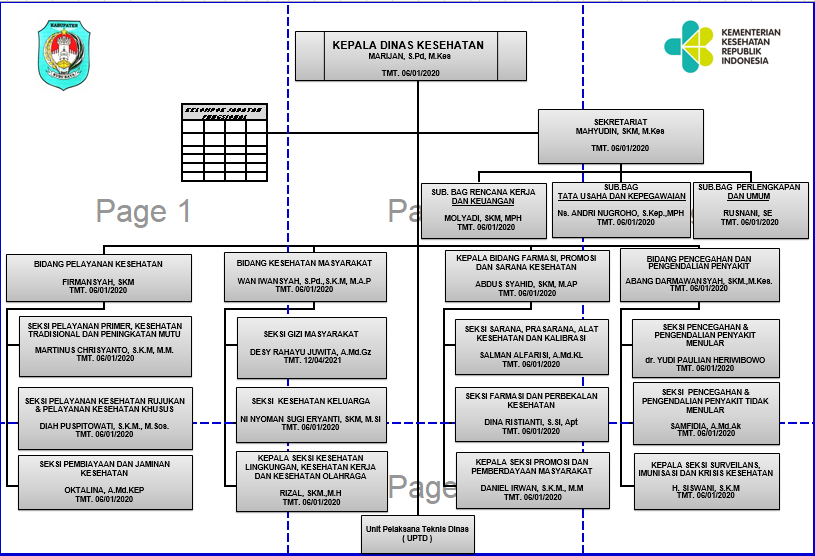 Struktur Organisasi Dinas Kesehatan DIY - IMAGESEE